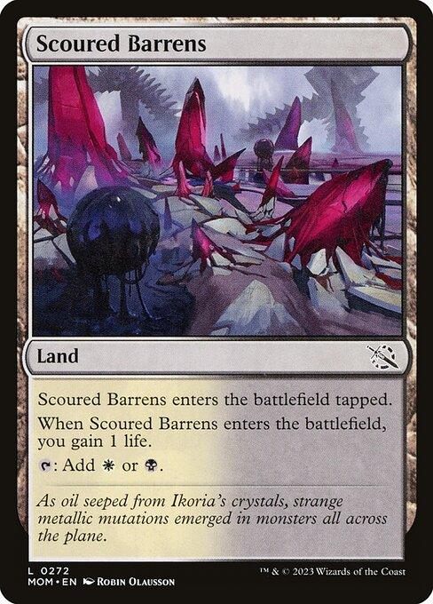 MOM 272 Scoured Barrens C