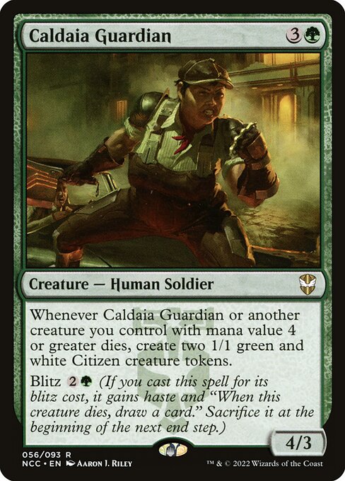 NCC 056 Caldaia Guardian R