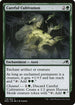 NEO 178 Careful Cultivation C