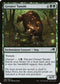 NEO 189 Greater Tanuki C