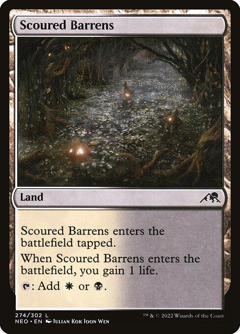 NEO 274 Scoured Barrens C