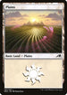 NEO 283 Plains (283) L