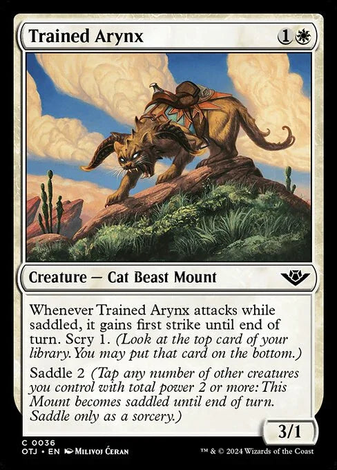 OTJ 036 Trained Arynx C