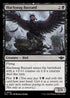 OTJ 079 Blacksnag Buzzard C