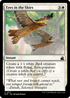 RVR 017 Eyes in the Skies C