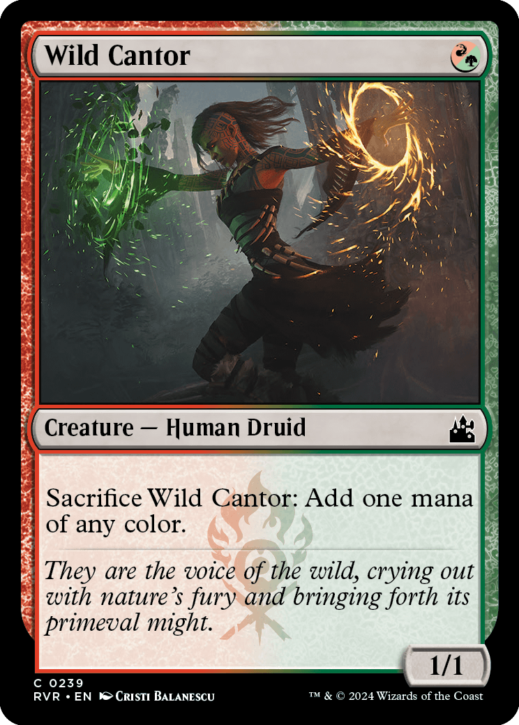 RVR 239 Wild Cantor C
