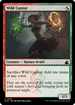RVR 239 Wild Cantor C
