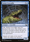 SNC 060 Sewer Crocodile C