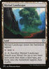 VOC 176 Myriad Landscape U