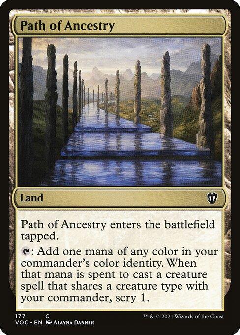 VOC 177 Path of Ancestry C