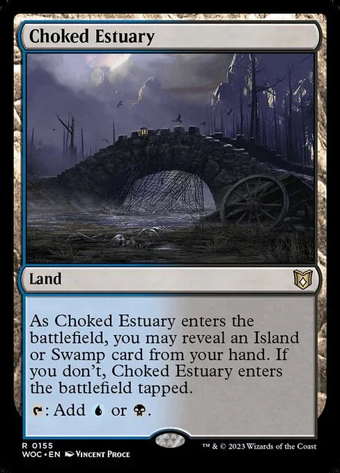 WOC 155 Choked Estuary