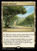 WOC 159 Exotic Orchard