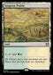 WOC 167 Sungrass Prairie