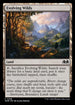 [Foil] WOE 256 Evolving Wilds C