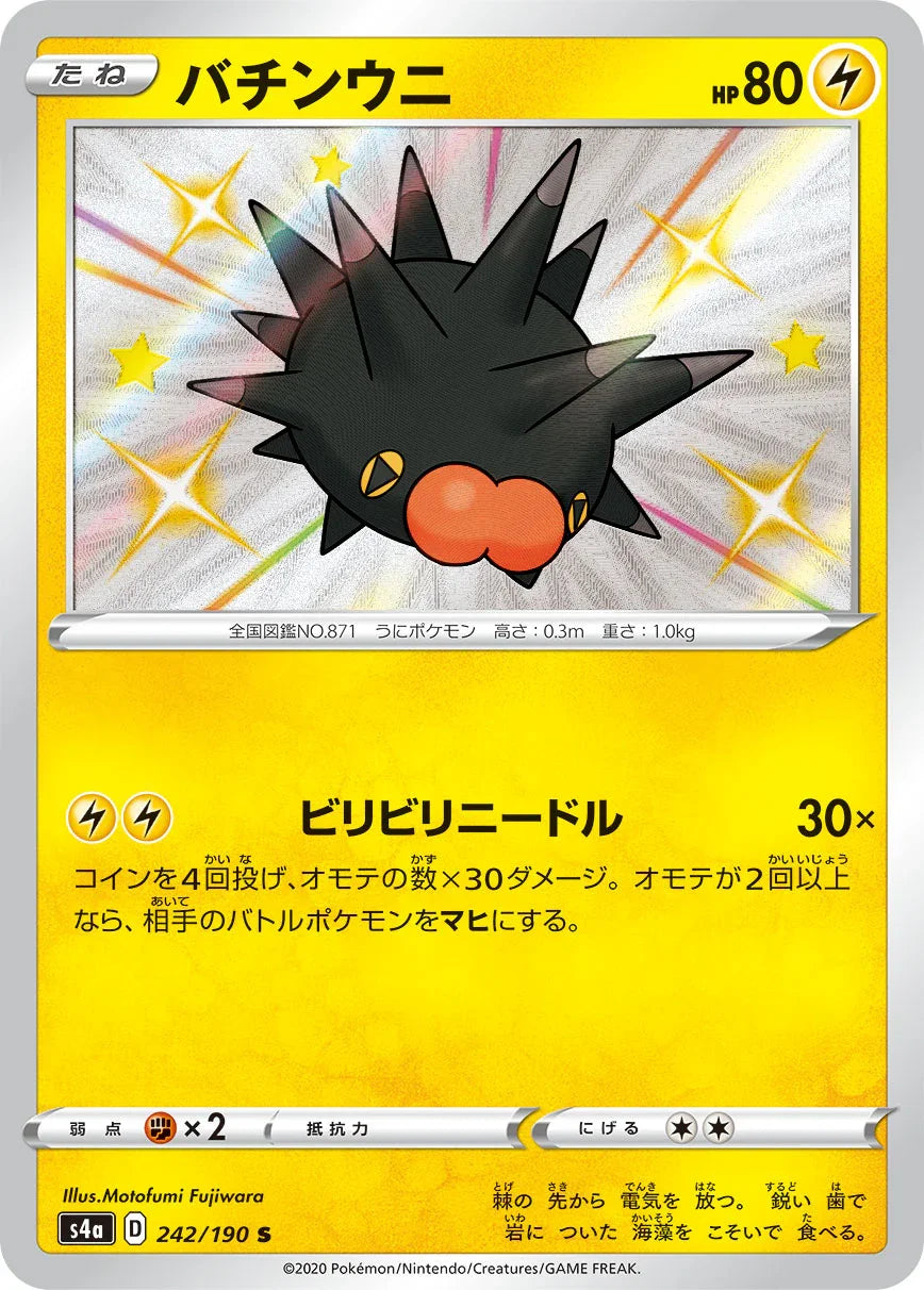 S4a 242/190 バチンウニ S