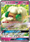 SM10 066/095 エルフーンGX RR