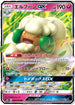 SM10 066/095 エルフーンGX RR