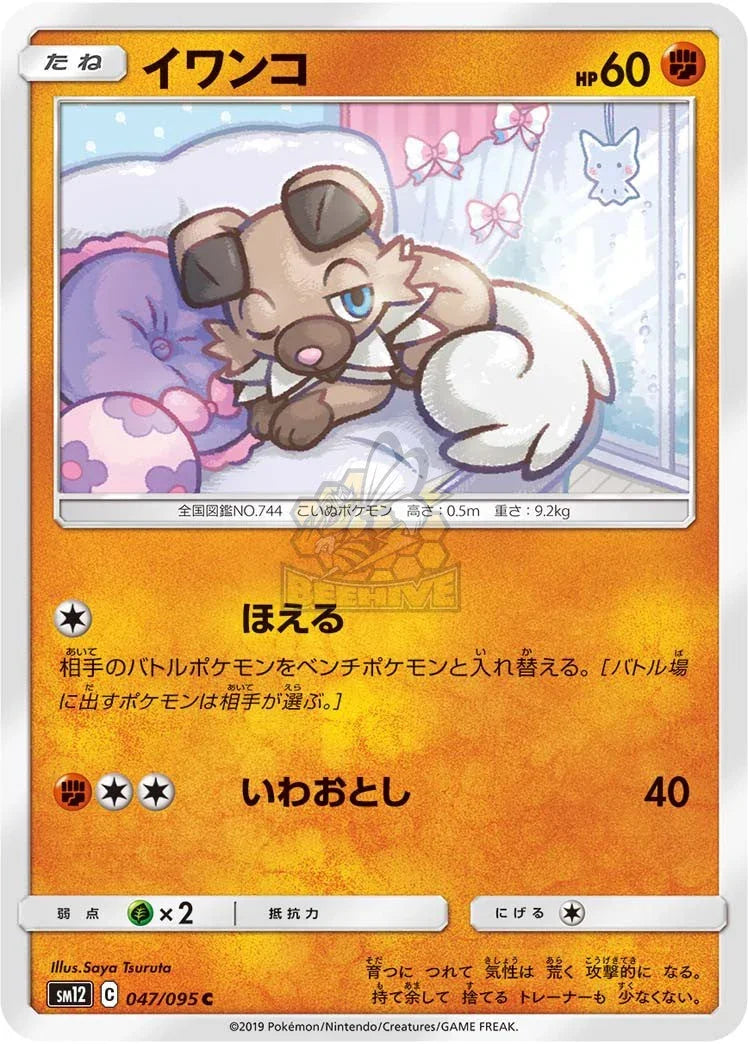 SM12 047/095 イワンコ C