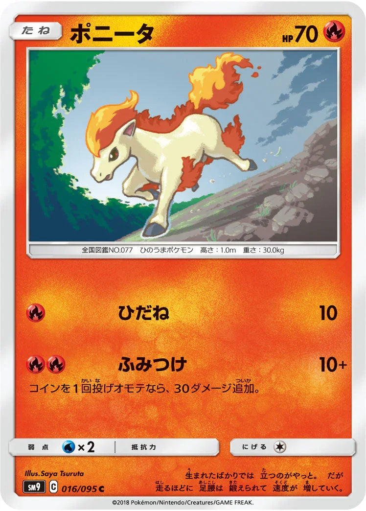 SM9 016/095 ポニータ C