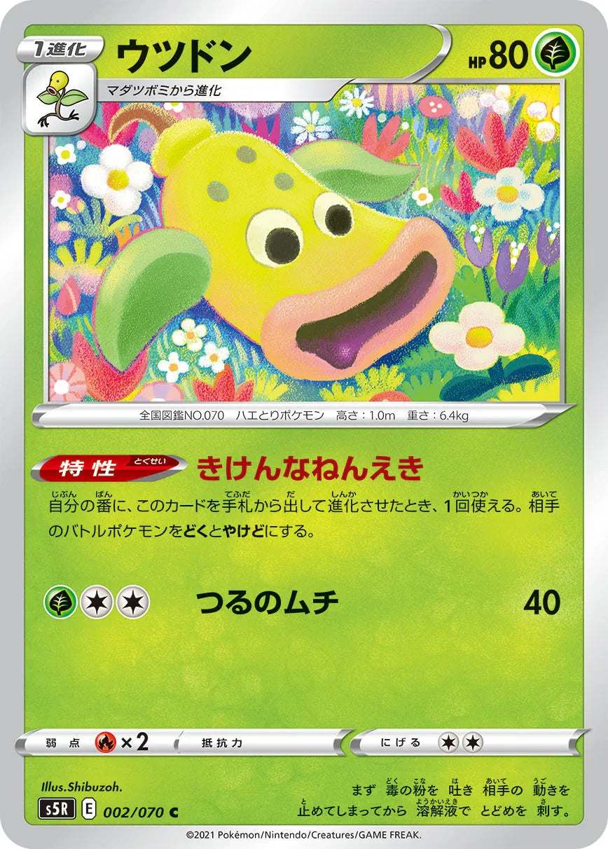 S5R 002/070 ウツドン C
