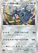 S5R 052/070 ハガネール R