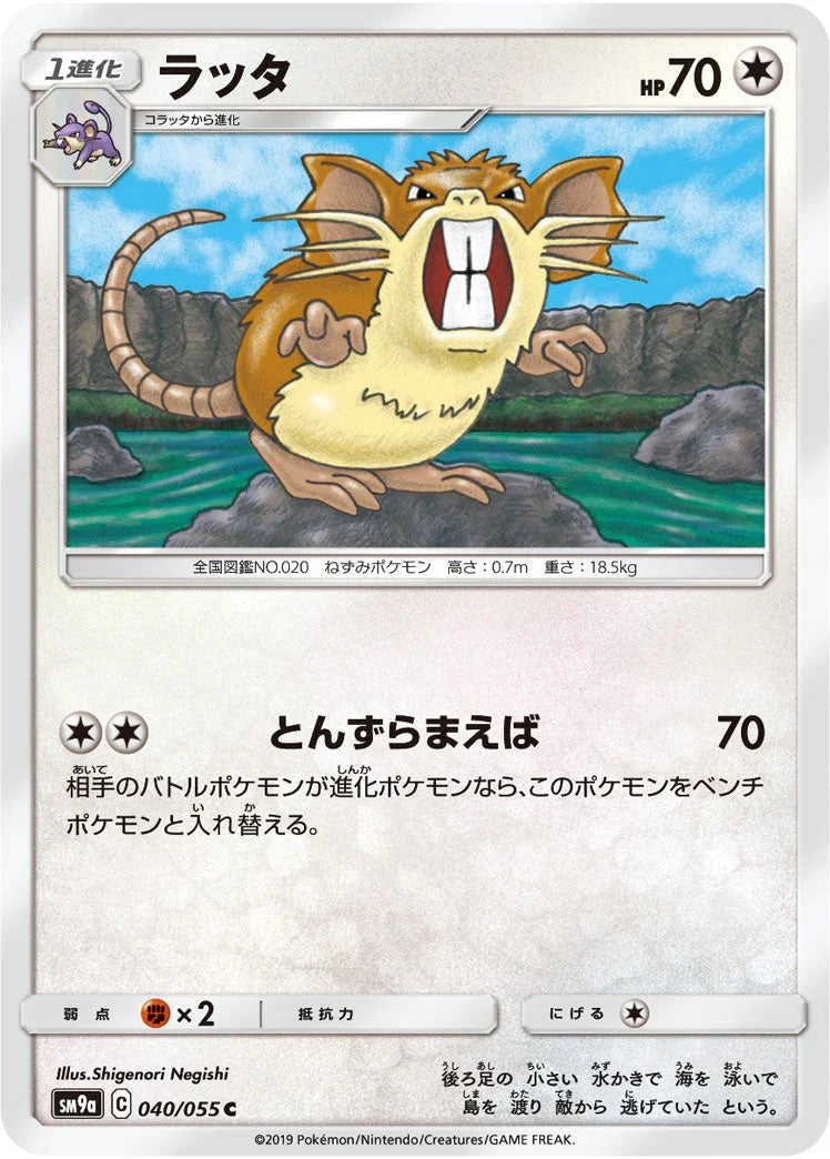 SM9a 040/055 ラッタ C