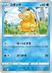 S10P 016/067 コダック C