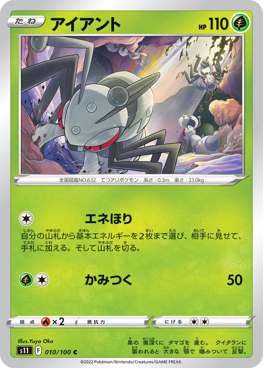 S11 010/100 アイアント C