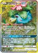SM11a 066/064 フシギバナ&ツタージャGX SR