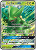 SM12a 010/173 ジュカインGX RR