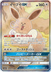SM12a 188/173 イーブイGX SR
