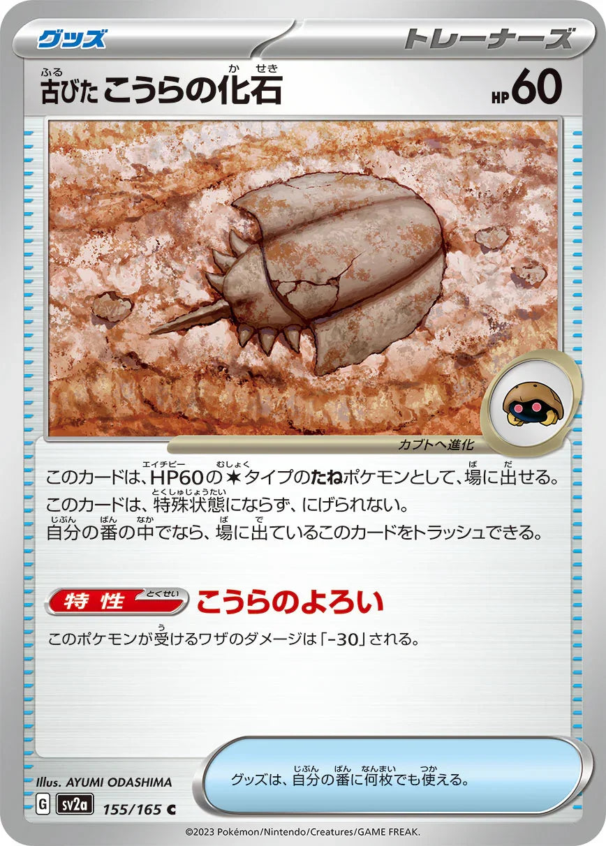 SV2a 155/165 古びたこうらの化石 C
