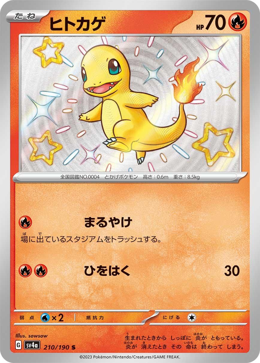 SV4a 210/190 ヒトカゲ S
