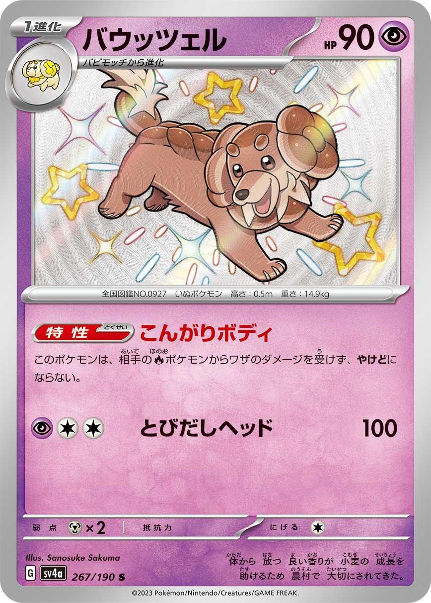 SV4a 267/190 バウッツェル S
