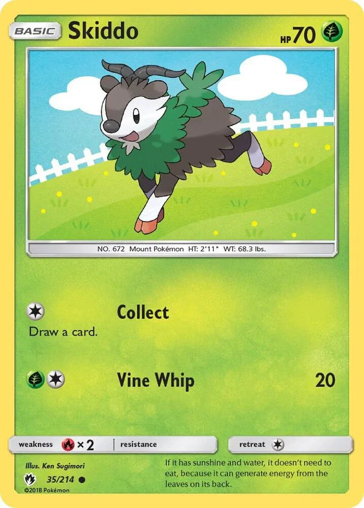 LOT 35/214 Skiddo C