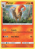 LOT 51/214 Pyroar R