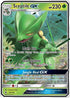 LOT 22/214 Sceptile GX SR