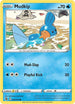 FST 062/264 Mudkip C