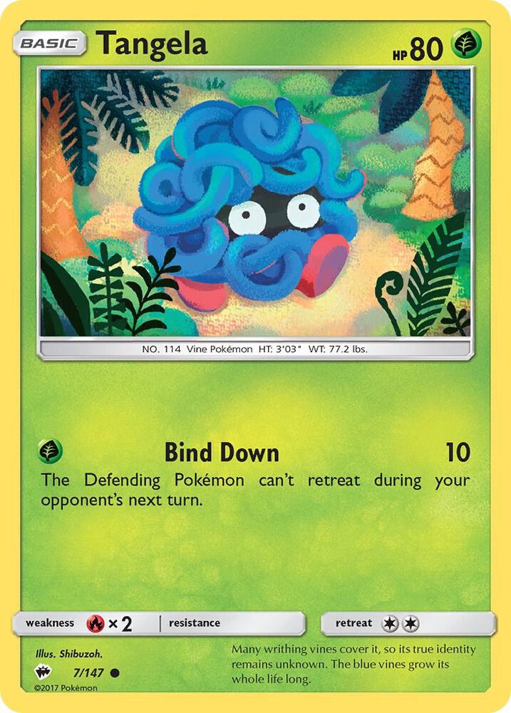 BUS 7/147 Tangela C