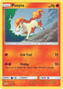 TEU 17/181 Ponyta C