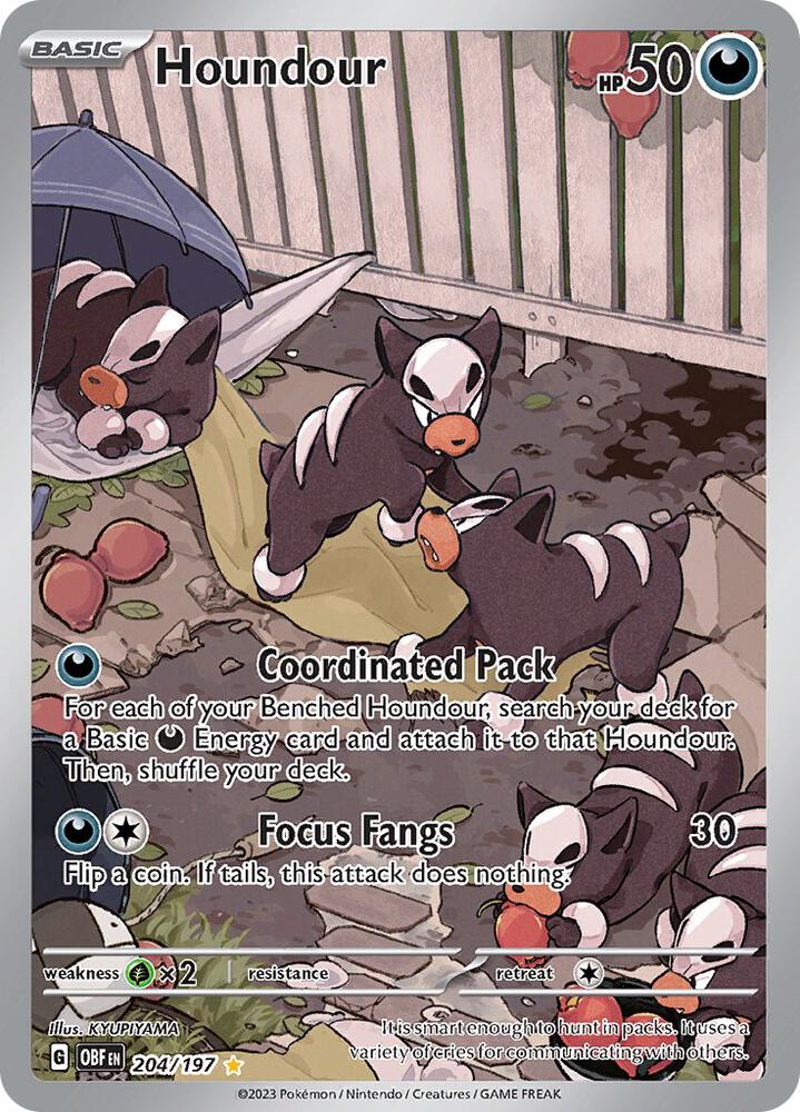 OBF 204/197 Houndour IR