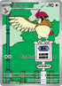 OBF 208/197 Pidgeotto IR