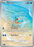 MEW 170/165 Squirtle IR