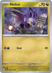 PAF 068/091 Noibat C