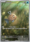SSP 198/191 Feebas IR