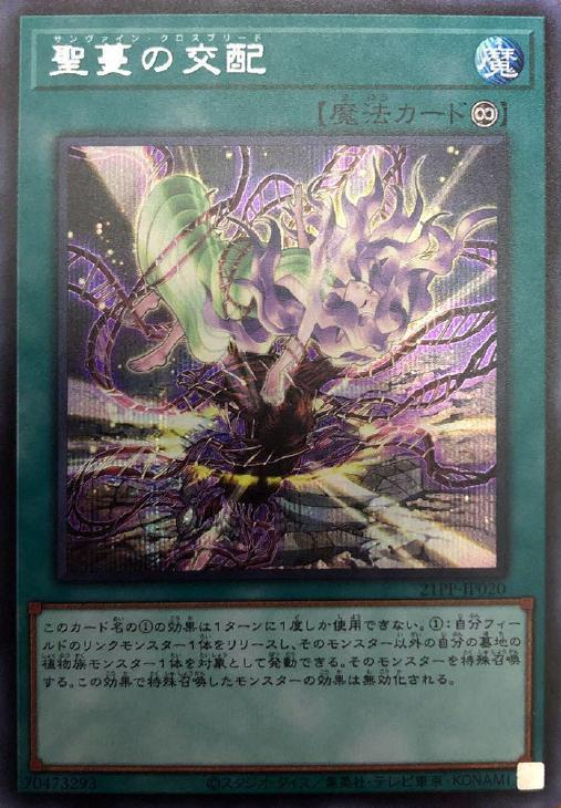 21PP-JP020 聖蔓の交配 SE