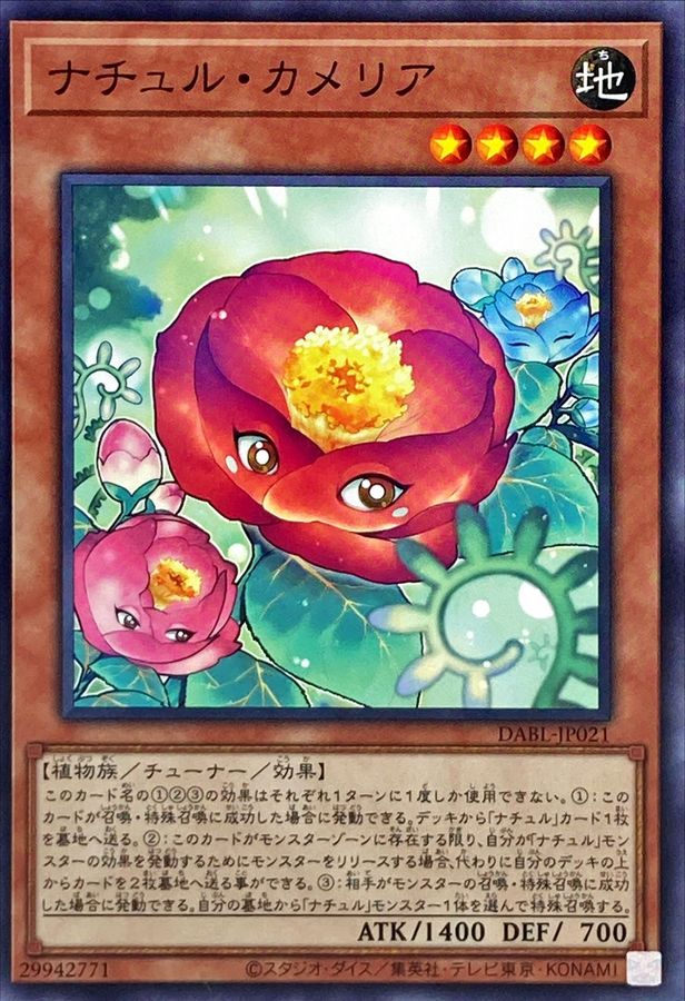 DABL-JP021 ナチュル・カメリア N