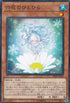 DBSS-JP014 六花のひとひら N