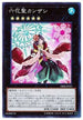 DBSS-JP021 六花聖カンザシ SR
