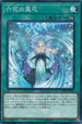 DBSS-JP024 六花の風花 N